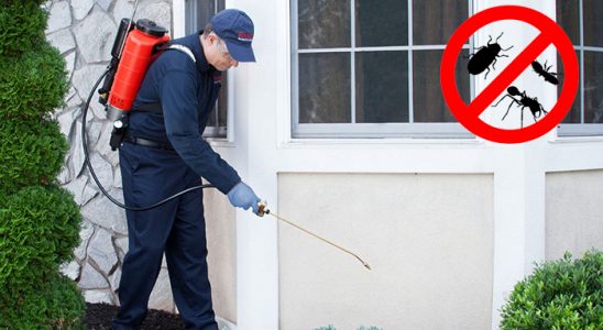Solhan Karınca İlaçlama böcek ilaçlama ve haşere kontrolü — ilaclama-tr.com